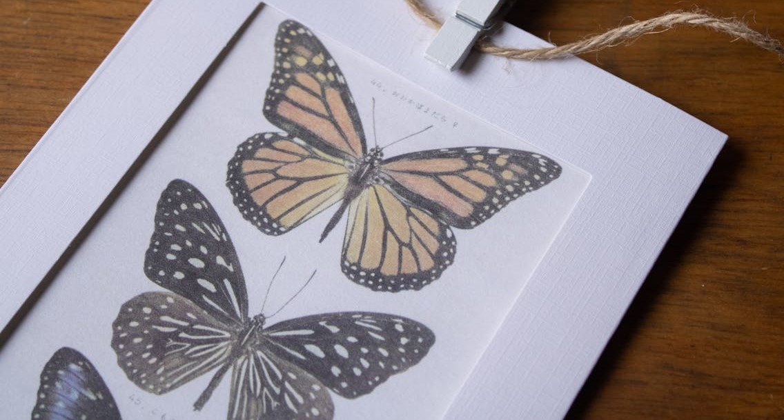 Crafting Paper Butterflies